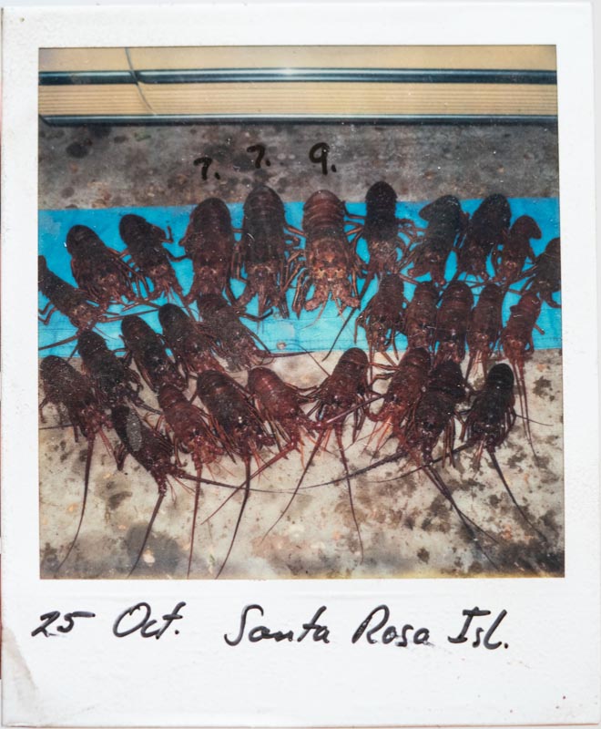 scanned_photos_007